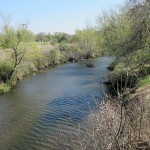 spring-creek-north-of-mason-city