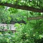 A trail at the Lime Creek Nature Center