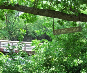 A trail at the Lime Creek Nature Center