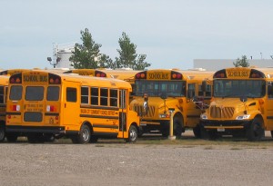 School buses in Mason City