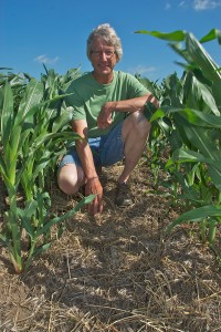 Dick Sloan of Rowley checks the corn field where he aerial seeded a cover crop of rye in 2011, then no-tilled the 2012 corn crop into the residue. The objective is to reduce soil erosion and build organic matter.