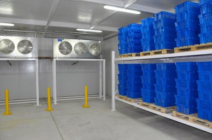 In keeping with its commitment to address some of Afghanistan’s most pressing infrastructure needs, the U.S. Army Corps of Engineers completed the Gereshk Storage and Distribution Center in Helmand province in July, a cold and dry storage facility designed to store, process and transport produce. (Courtesy photo).