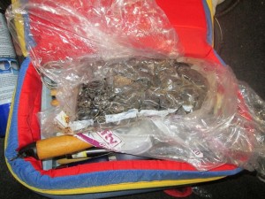 CBP officers inspected the substance, which field tested positive for heroin, and seized a total of 2.3 pounds. 