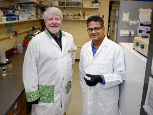 Iowa State's Michael Wannemuehler and Balaji Narasimhan, left to right in a lab at the College of Veterinary Medicine, are working to develop nanovaccines. Narasimhan is holding a small vial of a nanovaccine formulation for pneumonia. Larger photo. Photo by Amy Vinchattle.
