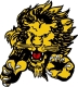 clear lake lions logo