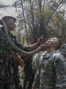 First Lt. James Morris drinks the blood of a king cobra, a Thai cultural act to instill bravery, during jungle survival training as part of Cobra Gold Feb. 13. The jungle survival course is part of the larger exercise Cobra Gold 2014, a recurring multinational and multiservice exercise, which takes place annually in the Kingdom of Thailand. Morris is a force protection officer with Headquarters and Headquarters Company, 2nd Stryker Brigade Combat Team, 25th Infantry Division. (U.S. Army photo by Sgt. Daniel K. Johnson)