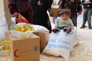 A little girl waits during the food distribution. Photo: WFP/Dina El-Kassaby
