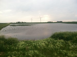 Franklin county standing water