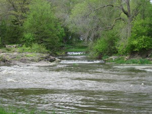 Shell Rock River at Camp at the Woods