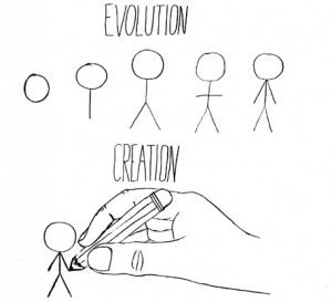 evolution or creationism