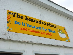 Laundro-Mutt is open