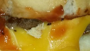 Photo of burger with fly larvae, posted to social media by Billie C. Wentzel of Hampton, Iowa.