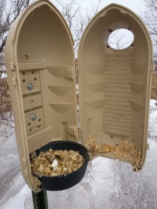 Cleaning wood duck boxes and adding new wood shavings is an annual late winter task.