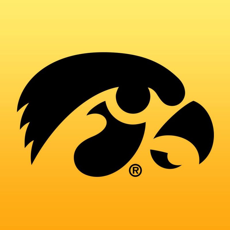 Iowa Hawkeye women ranked No. 2 in AP Poll, snubbed by voters for South