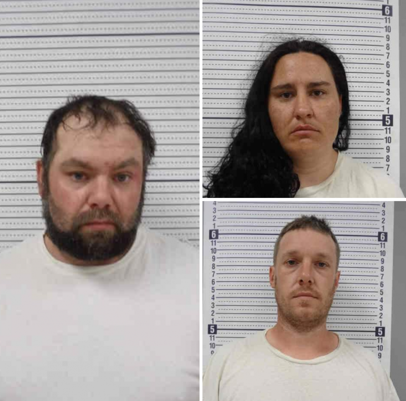 Northern Iowa drug bust nets three suspects